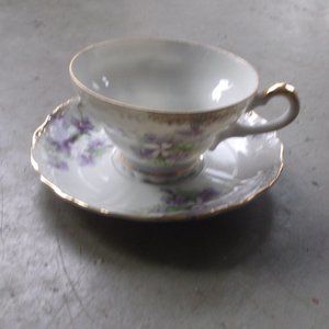 Del Coronado Nasco Teacup saucer set bone china violets flowers
